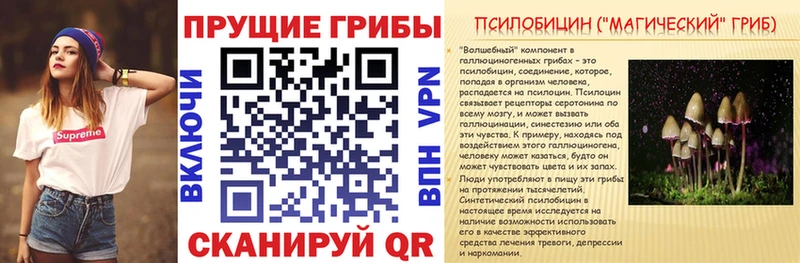 Псилоцибиновые грибы мицелий Чухлома